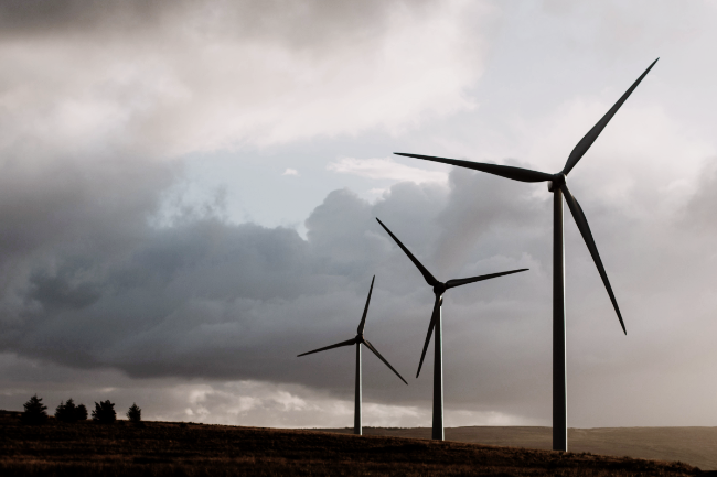 Renewable ties